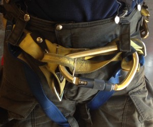 Gemtor Harness